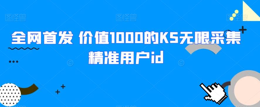 全网首发 价值1000的KS无限采集精准用户id网赚项目-副业赚钱-互联网创业-资源整合火火项目